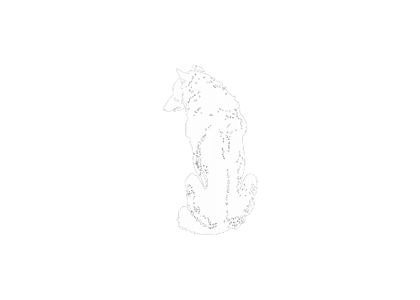 Alpha The Wolf logo — white on dark