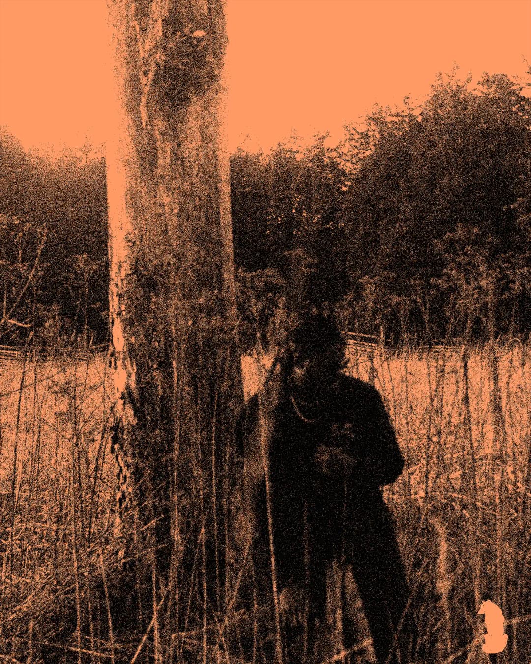 Alpha The Wolf standing partially behind a bare tree trunk in an overgrown field, the entire scene treated with a heavy orange duotone, figure obscured in shadow