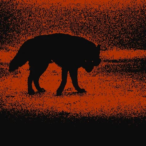 Alpha The Wolf brand icon — a wolf silhouette in full stride rendered as a flat black shape against a warm orange grain-textured background