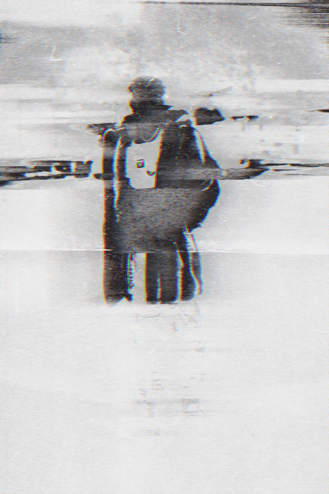 Alpha The Wolf standing with back to camera in a washed-out gray field, the figure rendered in grainy black through horizontal scan-line distortion