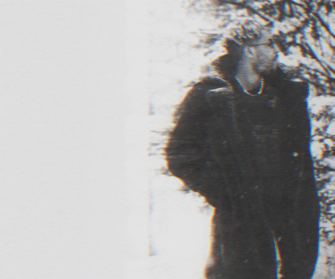 Alpha The Wolf standing outdoors near bare winter trees, dark silhouette framed hard against a bright white background, figure partially cropped and glitch-edged