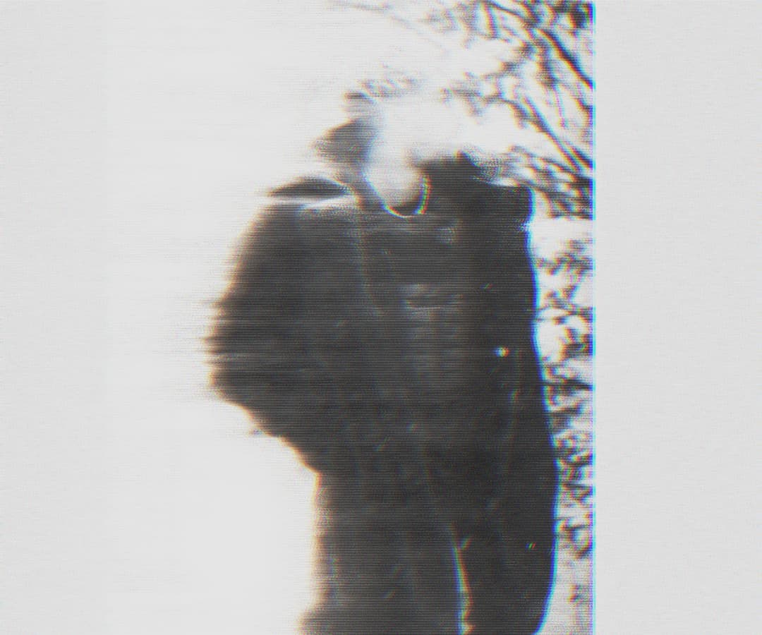 Alpha The Wolf standing outdoors near bare winter trees, breath visible above the head, slightly different glitch layering from the previous frame