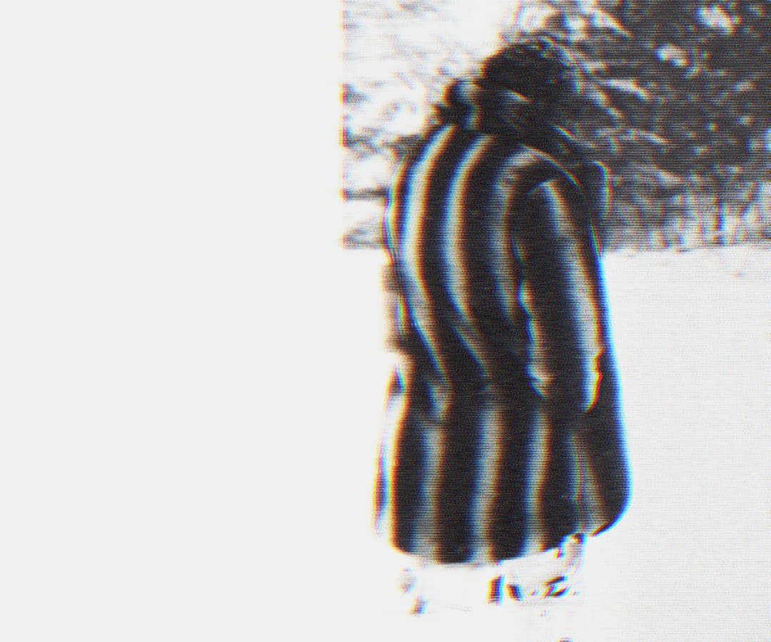 Alpha The Wolf standing with back to camera in a striped coat in the snow, the coat's vertical pattern exaggerated by scan-line distortion, winter trees behind