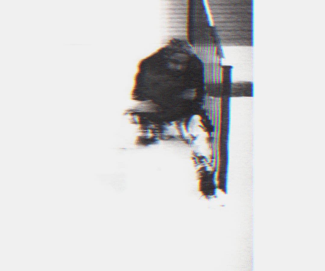Alpha The Wolf crouching low near a railing in the snow, figure tightly cropped at the top of the frame with heavy glitch fragmentation