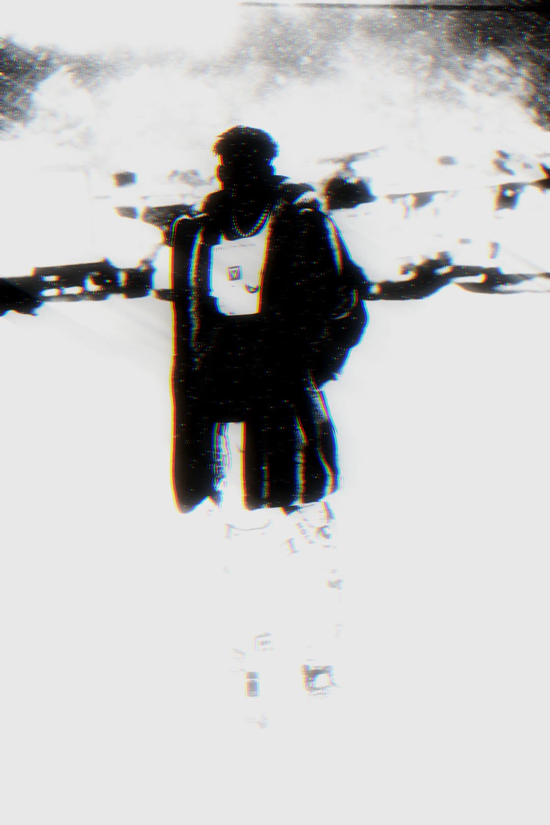 Alpha The Wolf standing in the snow, coat spread wide, shot in extreme overexposed black-and-white with chromatic aberration, the figure nearly dissolving into the white ground