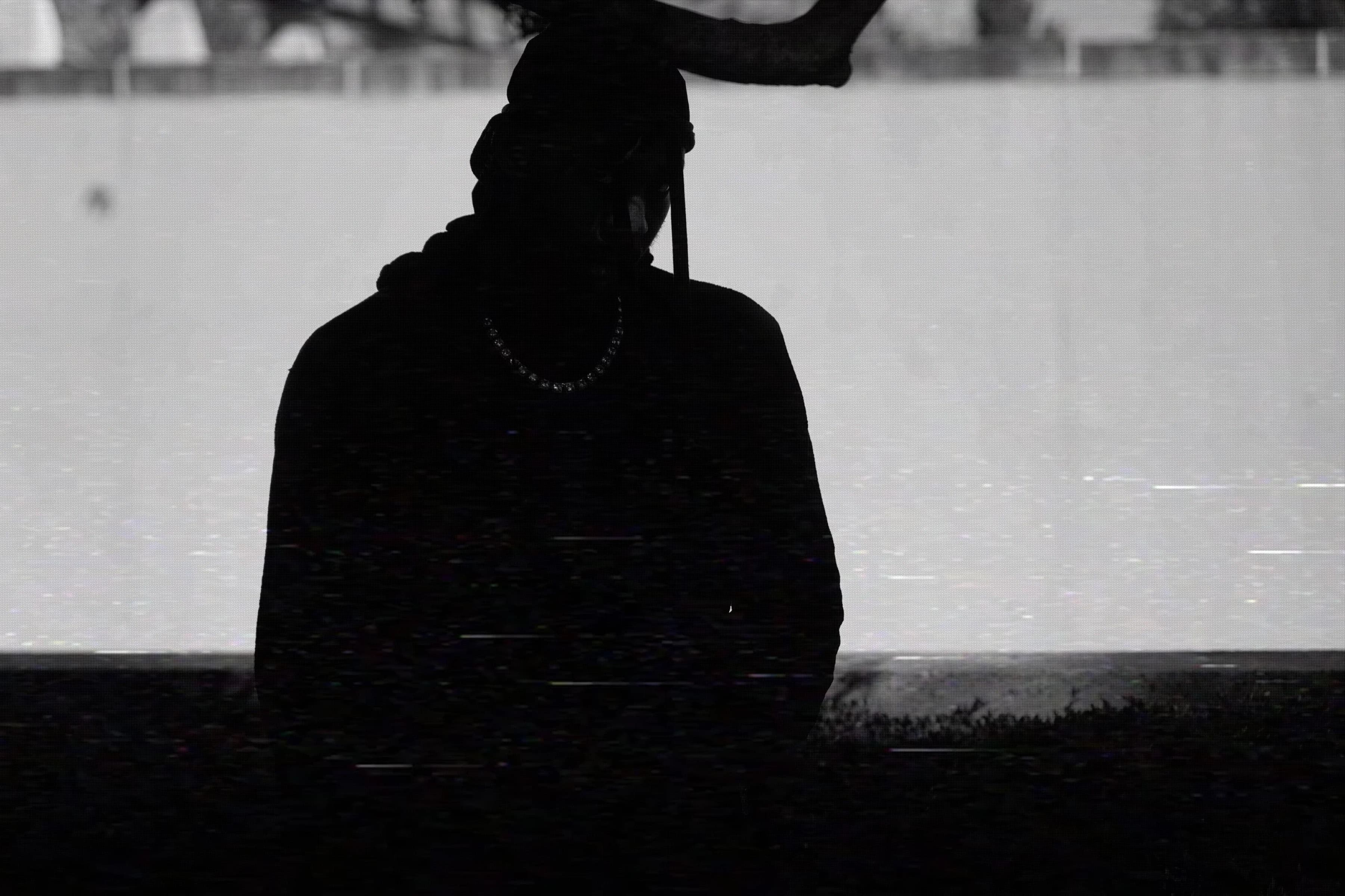 NOBODY LIKES WHEN A WOLF SHOWS UP 10