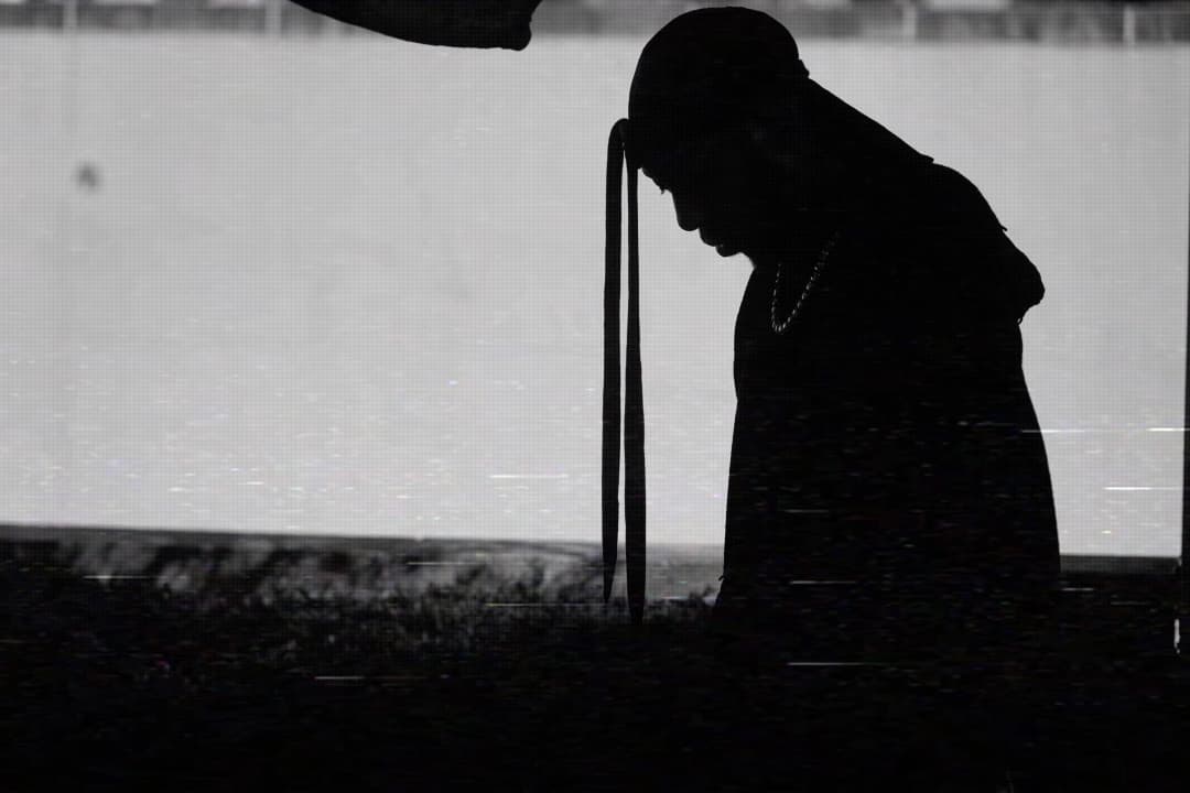 Alpha The Wolf in silhouette, head bowed forward with braids falling, outdoor by water — datamoshed scan-line distortion