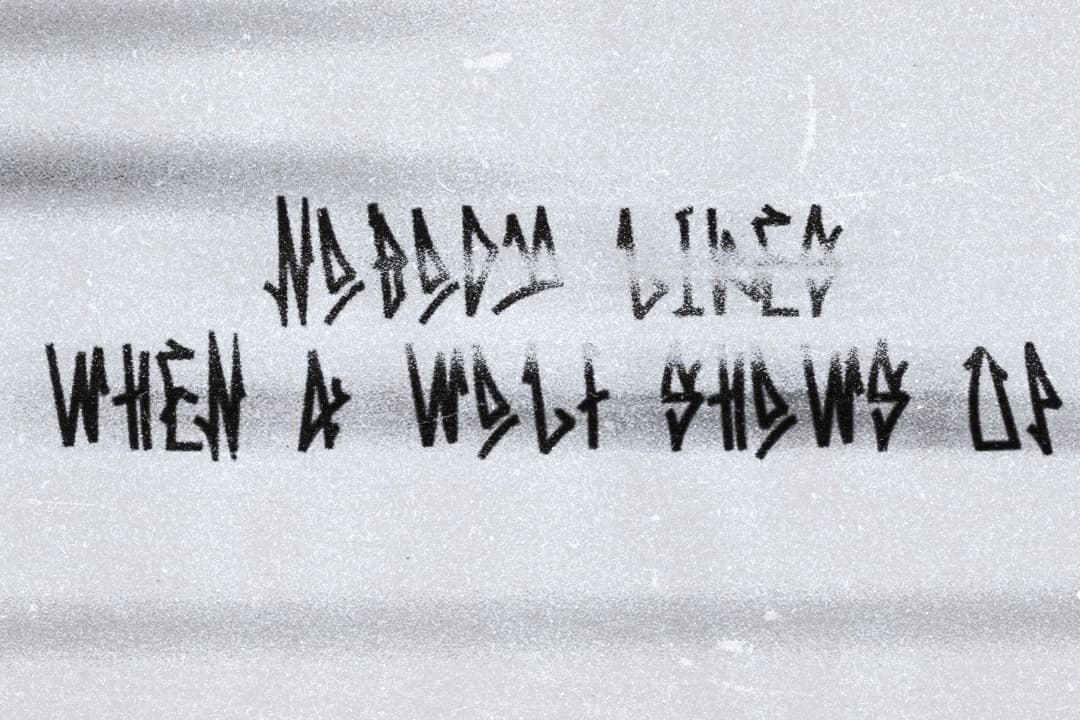 Nobody Likes When a Wolf Shows Up — title in distressed Gothic lettering across a corrugated metal surface, two-line layout
