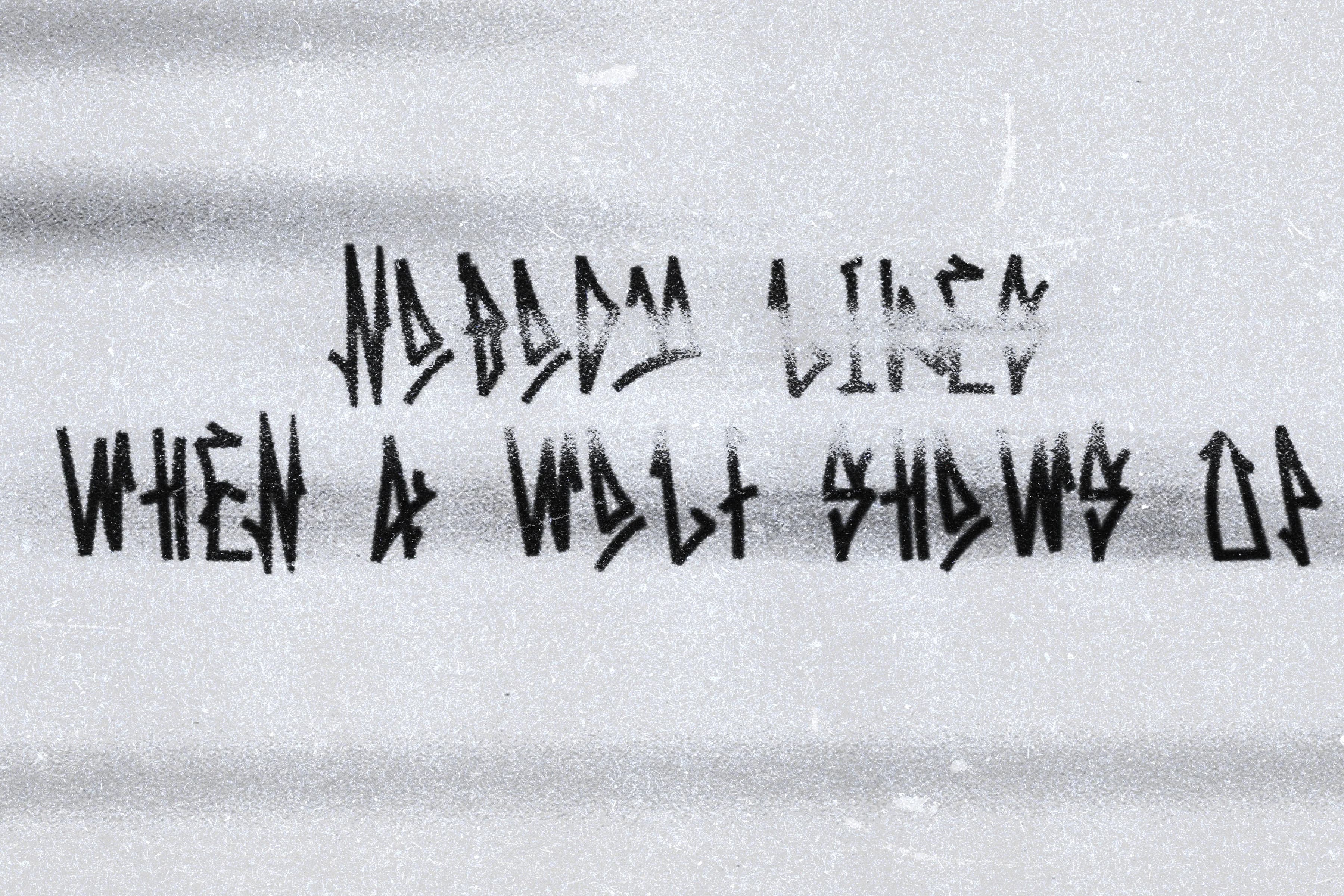 NOBODY LIKES WHEN A WOLF SHOWS UP 4