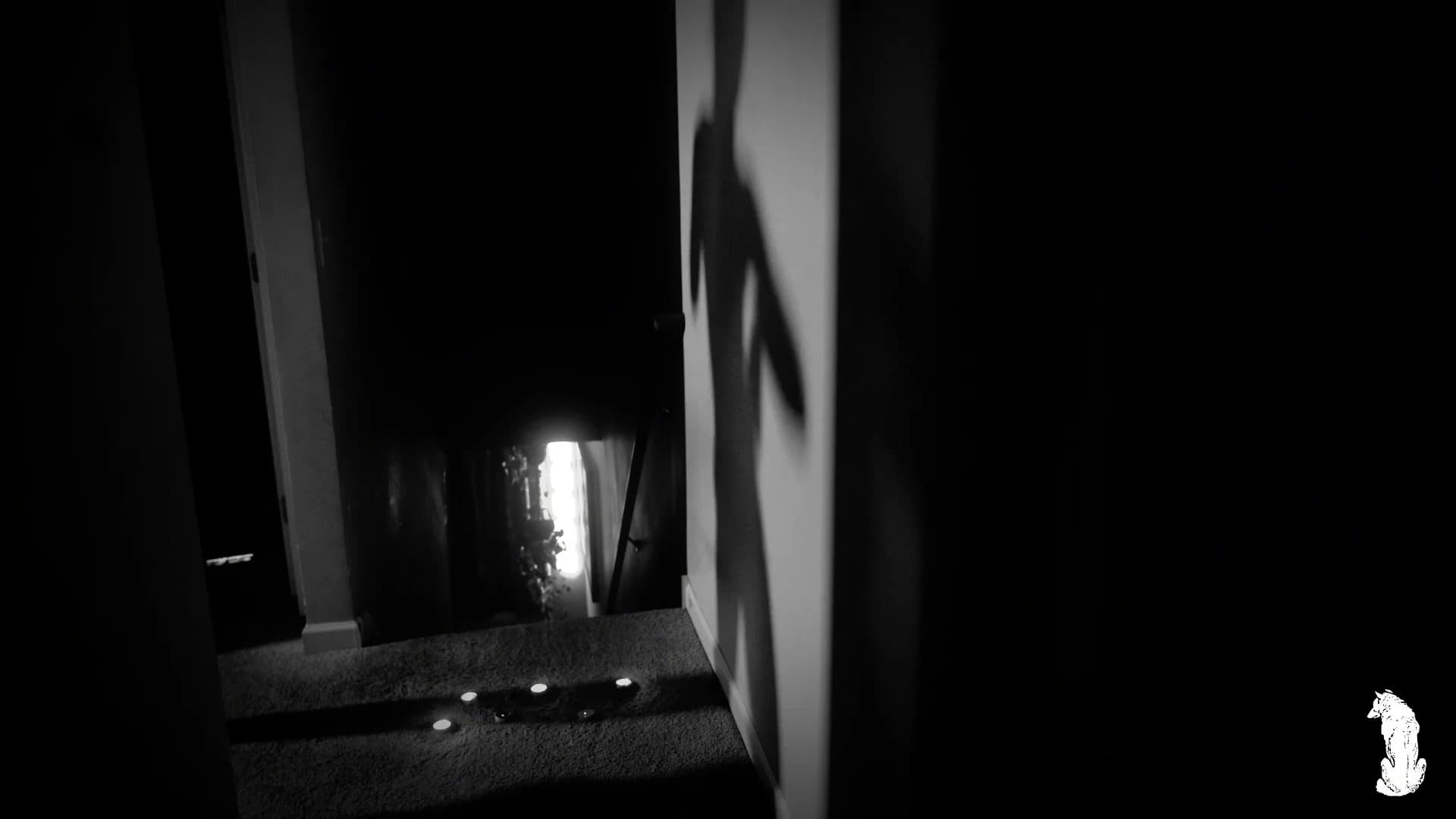 FLICKERING SHADOWS 28