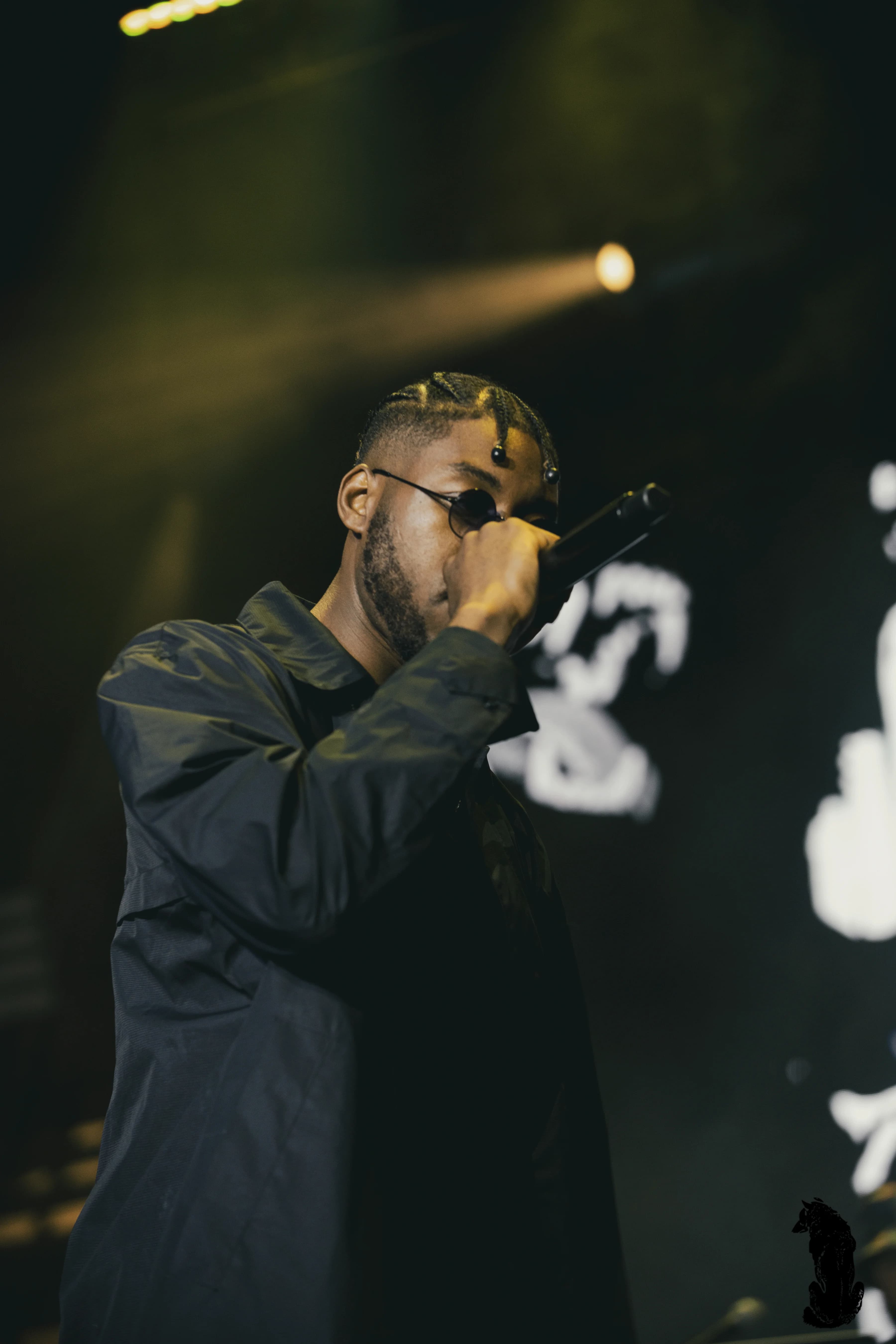 MOON UNDER SHADOWS 5