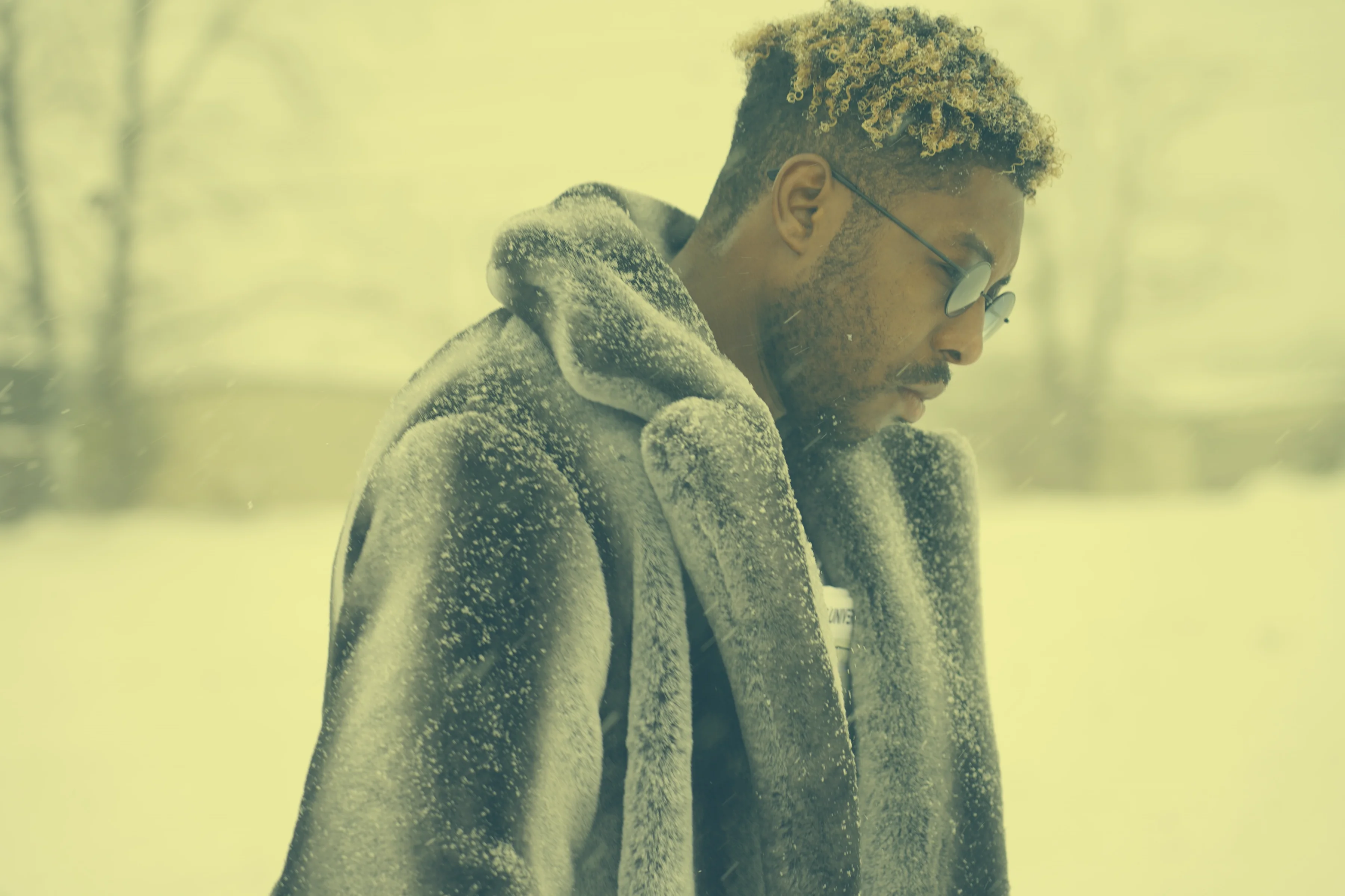 NASHVILLE BLIZZARD 5