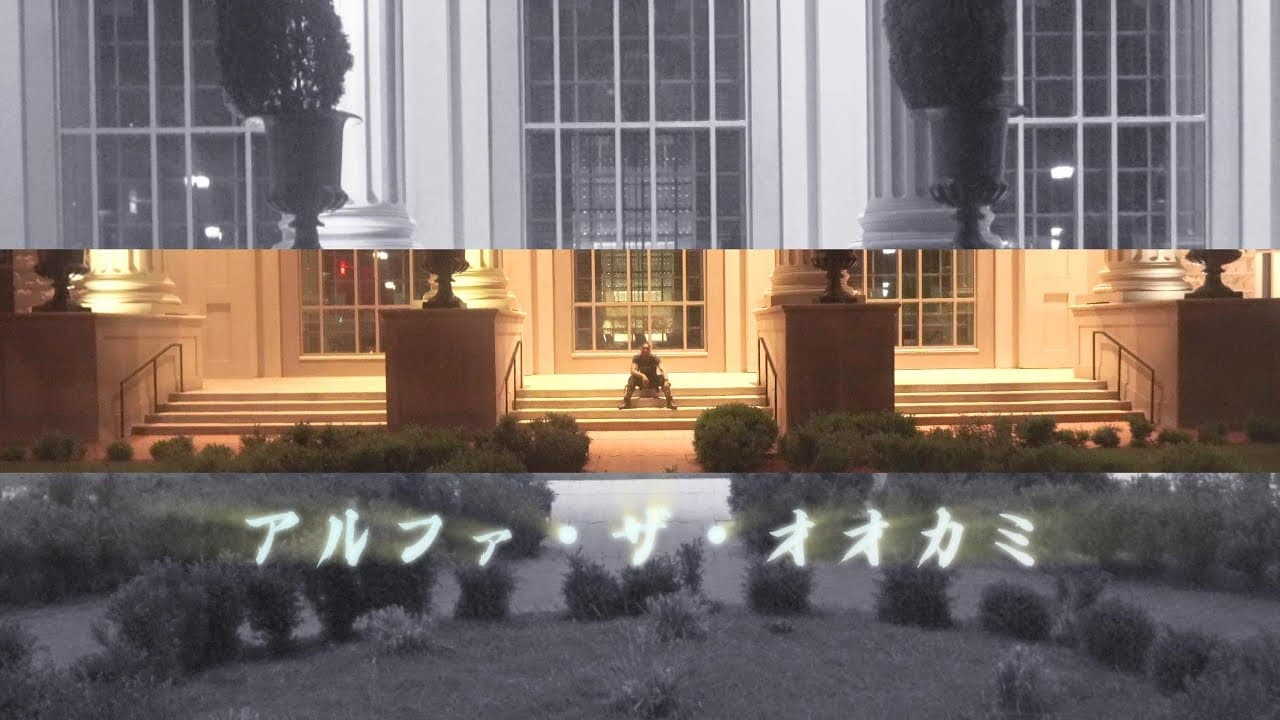 Frequencies music video