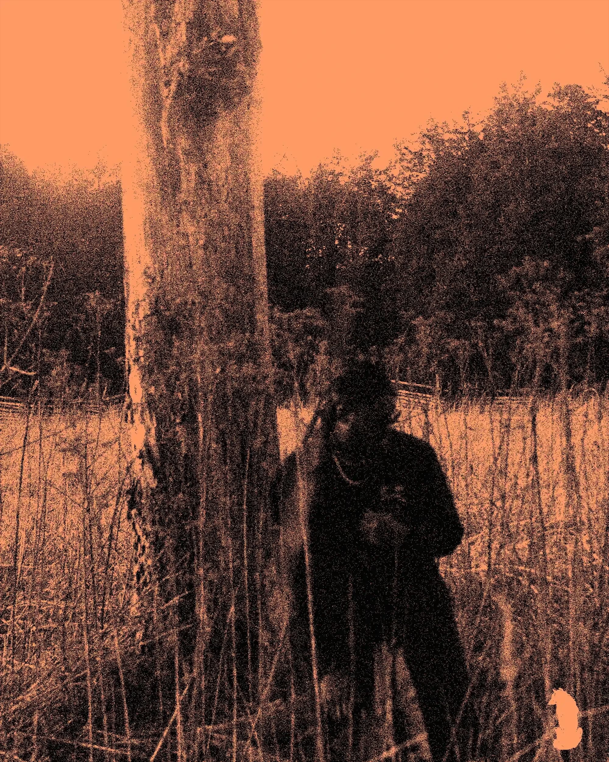 Forlorn Is Out Now — Alpha The Wolf's Debut Album