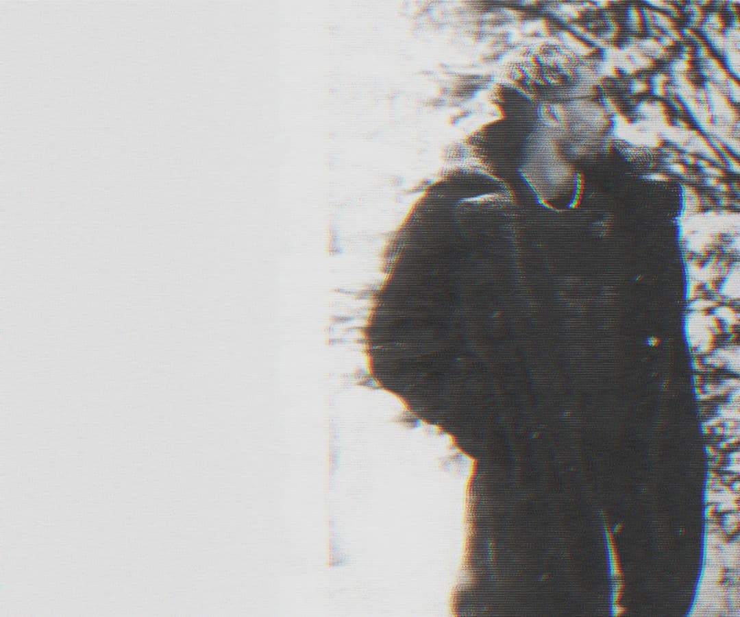 Alpha The Wolf standing outdoors near bare winter trees, dark silhouette framed hard against a bright white background, figure partially cropped and glitch-edged
