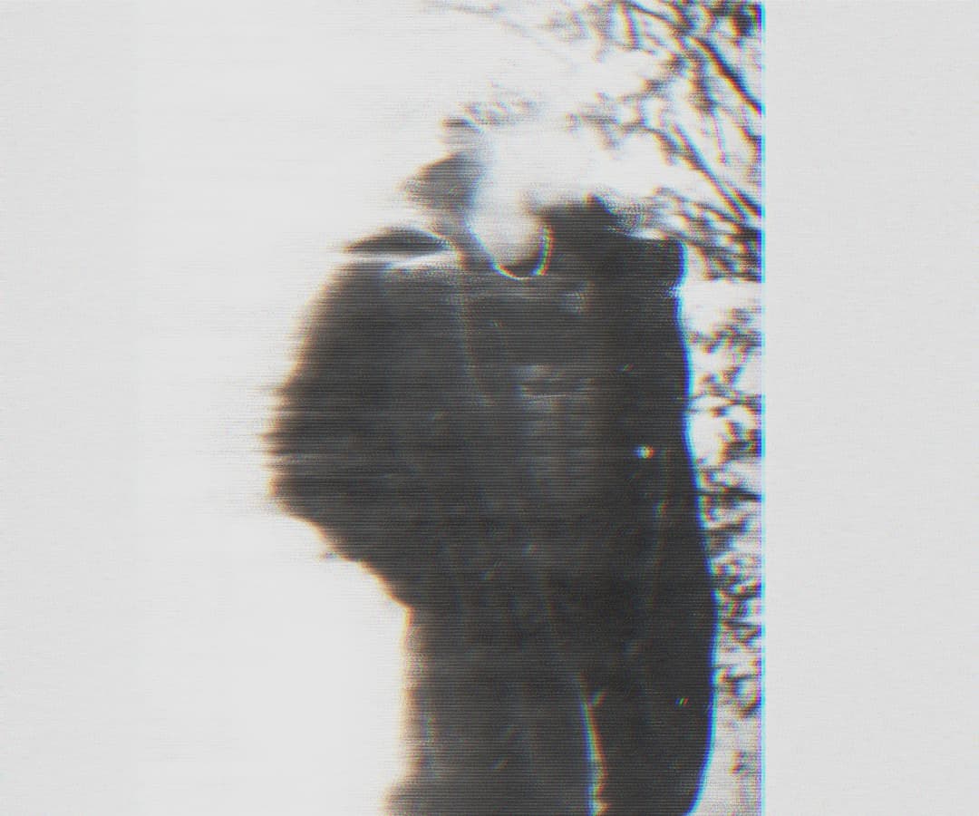 Alpha The Wolf standing outdoors near bare winter trees, breath visible above the head, slightly different glitch layering from the previous frame