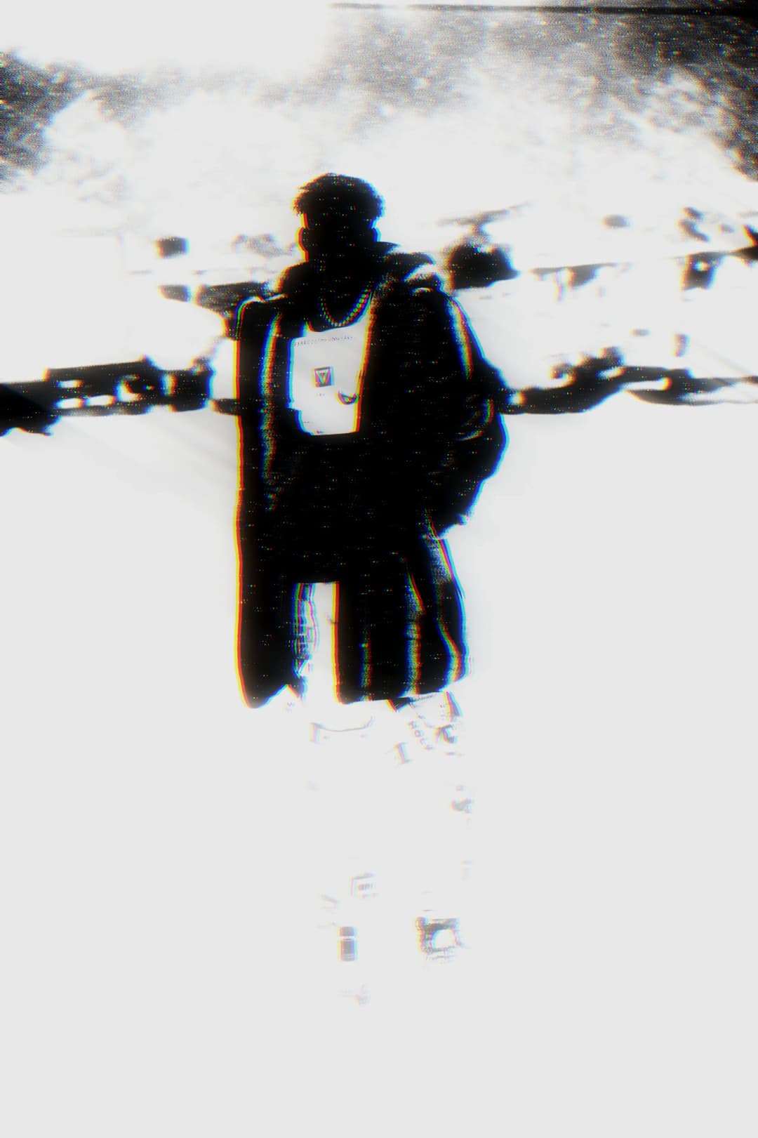 Alpha The Wolf standing in the snow, coat spread wide, shot in extreme overexposed black-and-white with chromatic aberration, the figure nearly dissolving into the white ground