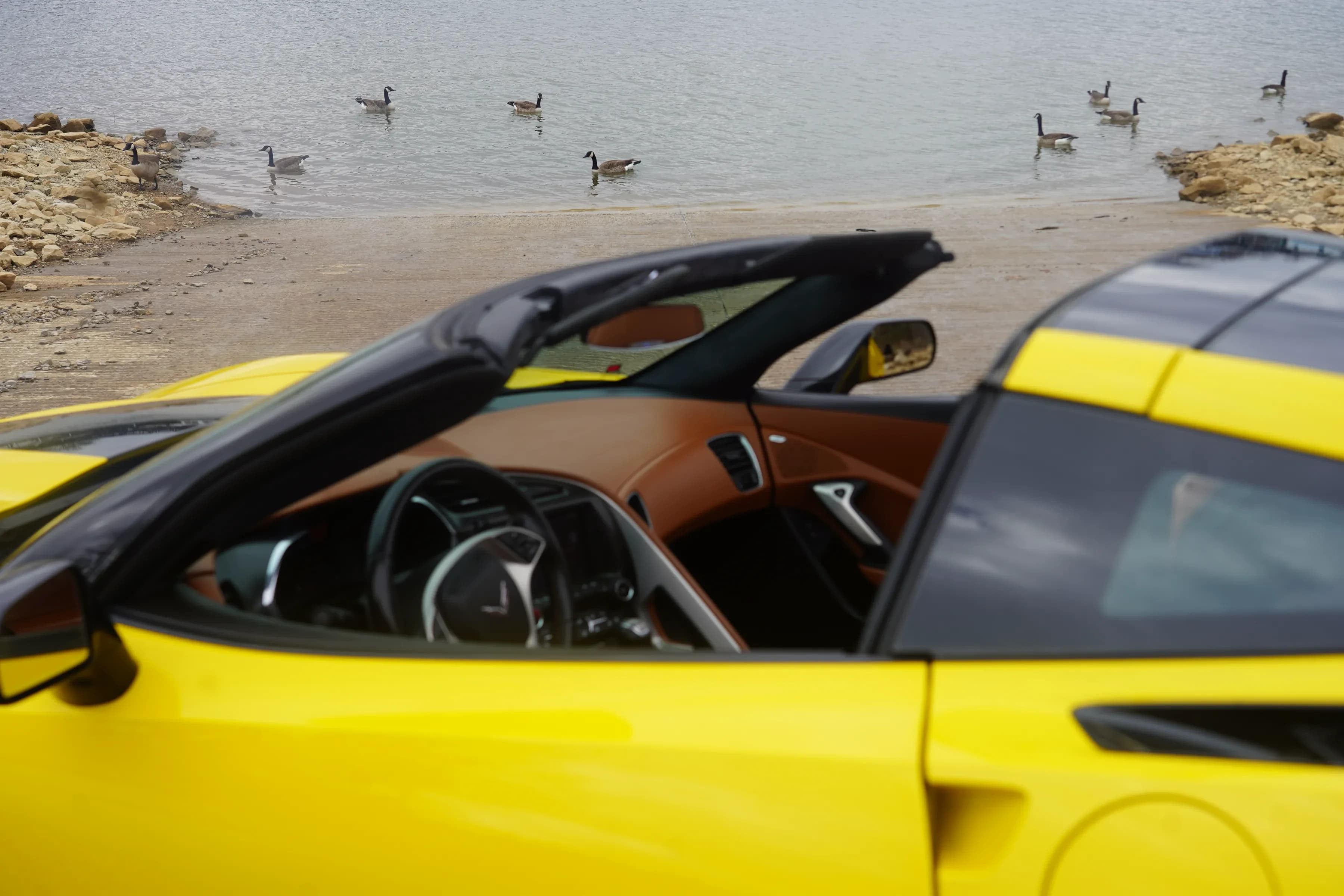 COUPES BY THE LAKESIDE 19