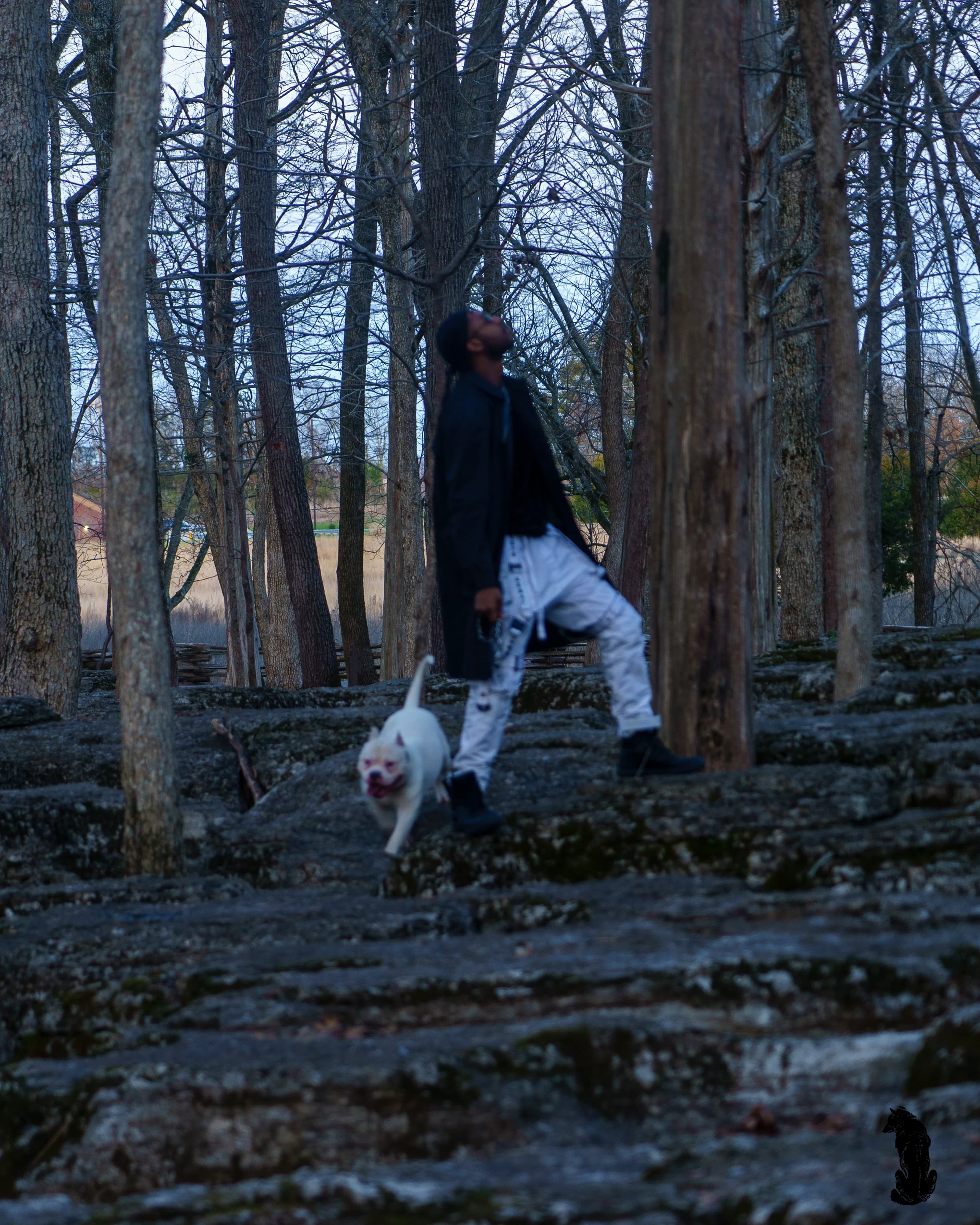 LONELY STONES 7