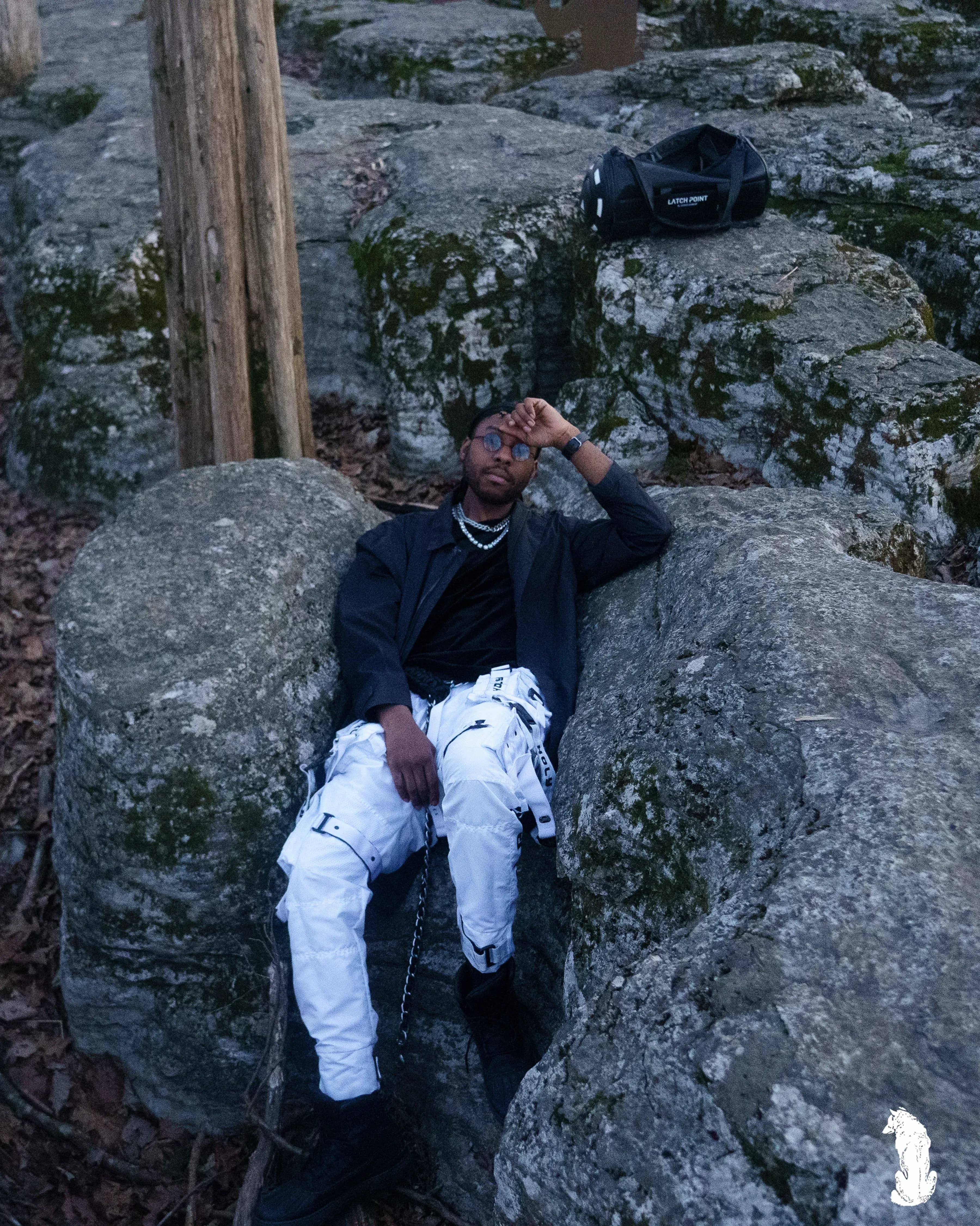 Alpha The Wolf Crouches on Stacked Limestone at Blue Dusk for "Lonely Stones"