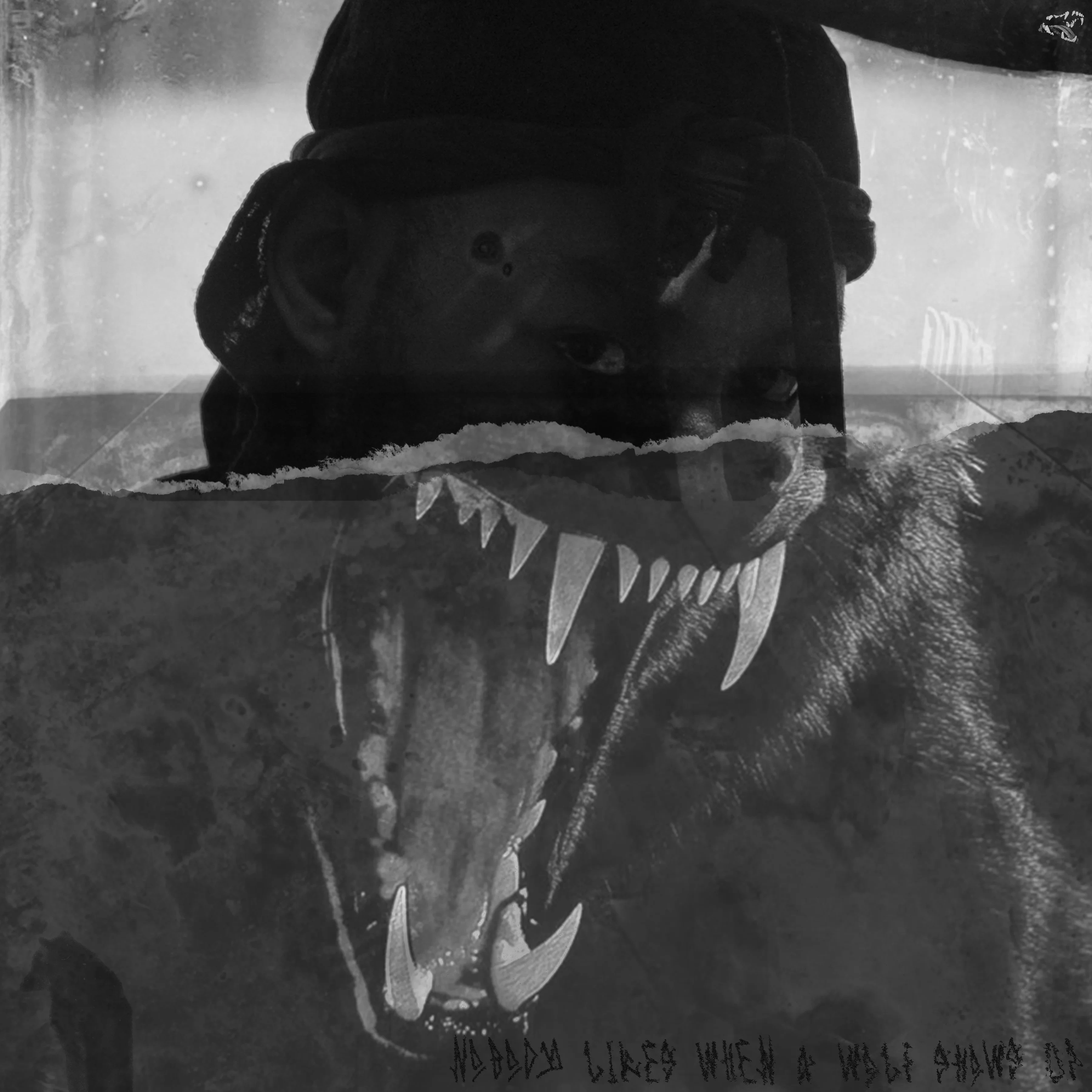 Nobody Likes When a Wolf Shows Up — Alpha The Wolf Official Album Cover