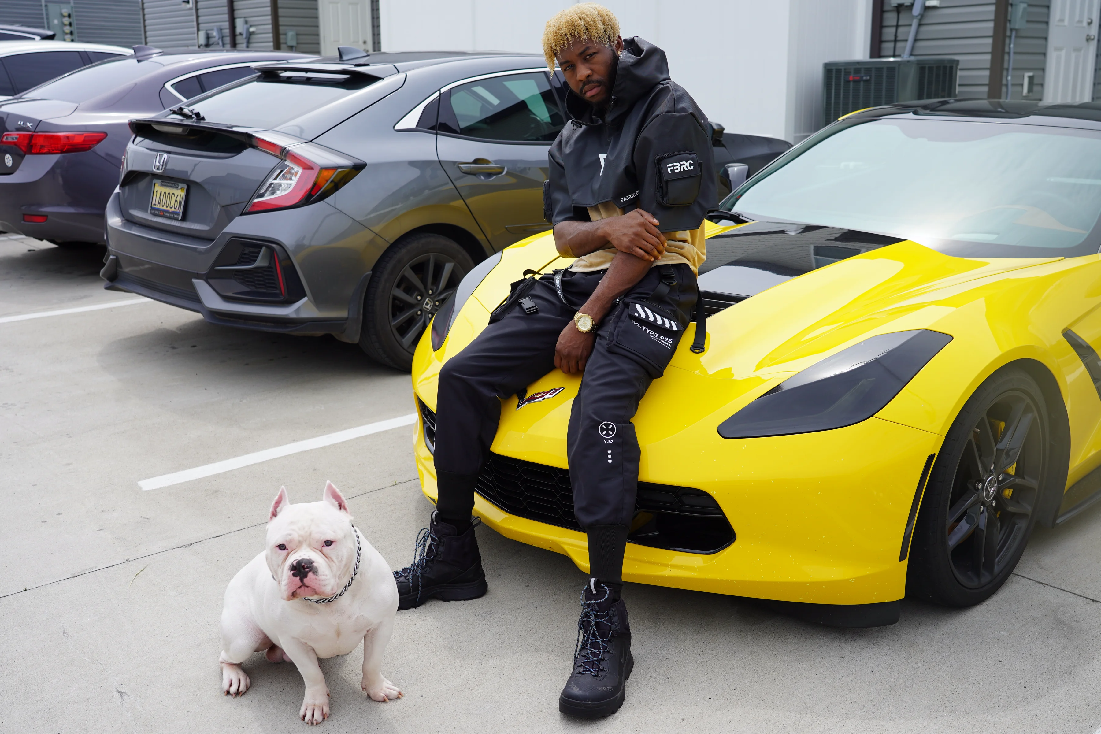 Alpha The Wolf seated on the yellow Corvette's hood with arms crossed and a steady, direct stare, the white American Bully seated beside the front tyre looking outward