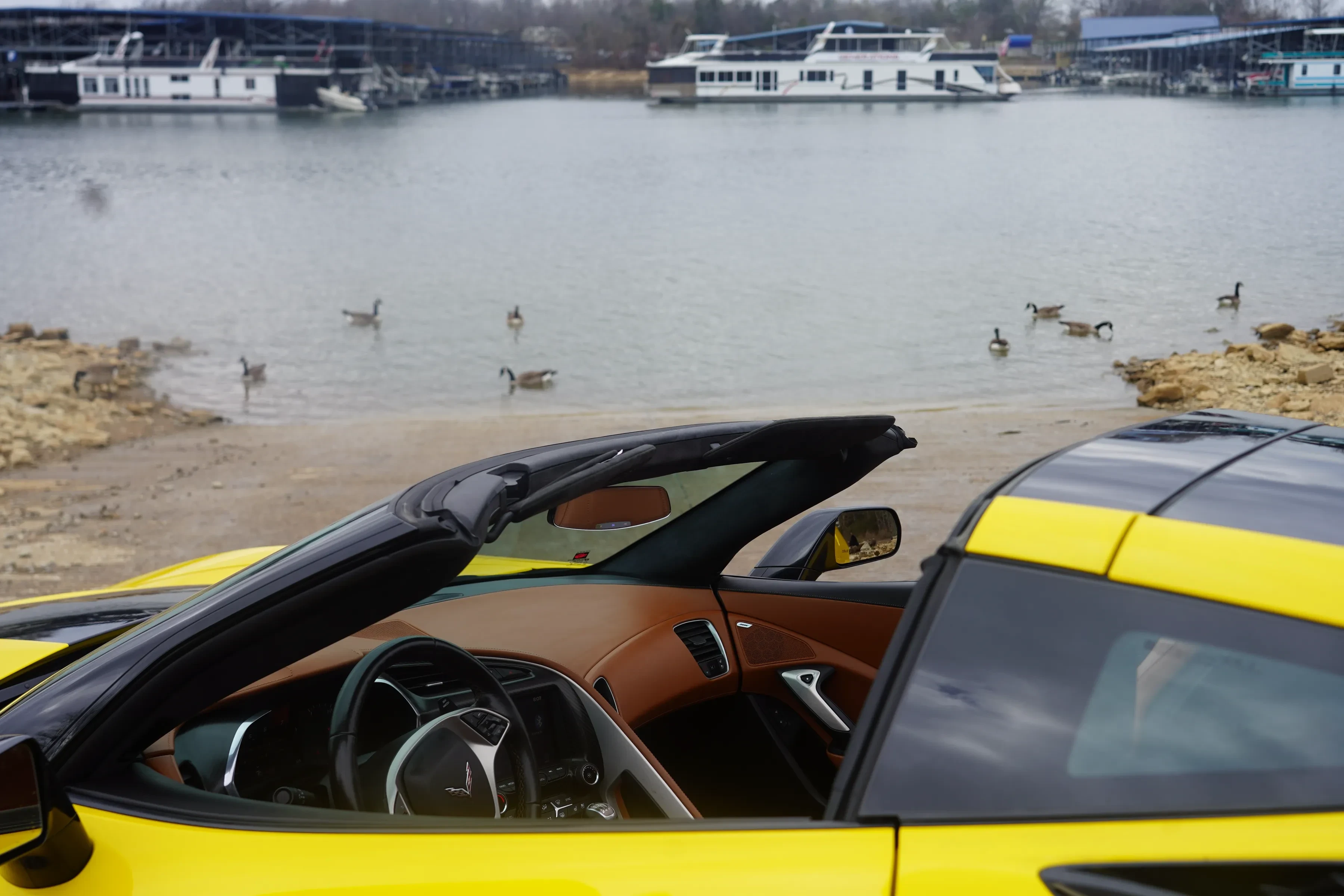The open cabin of the yellow Corvette in the foreground with its tan interior and mirror, geese scattered across the water behind and white houseboats moored along the far bank under grey cloud.