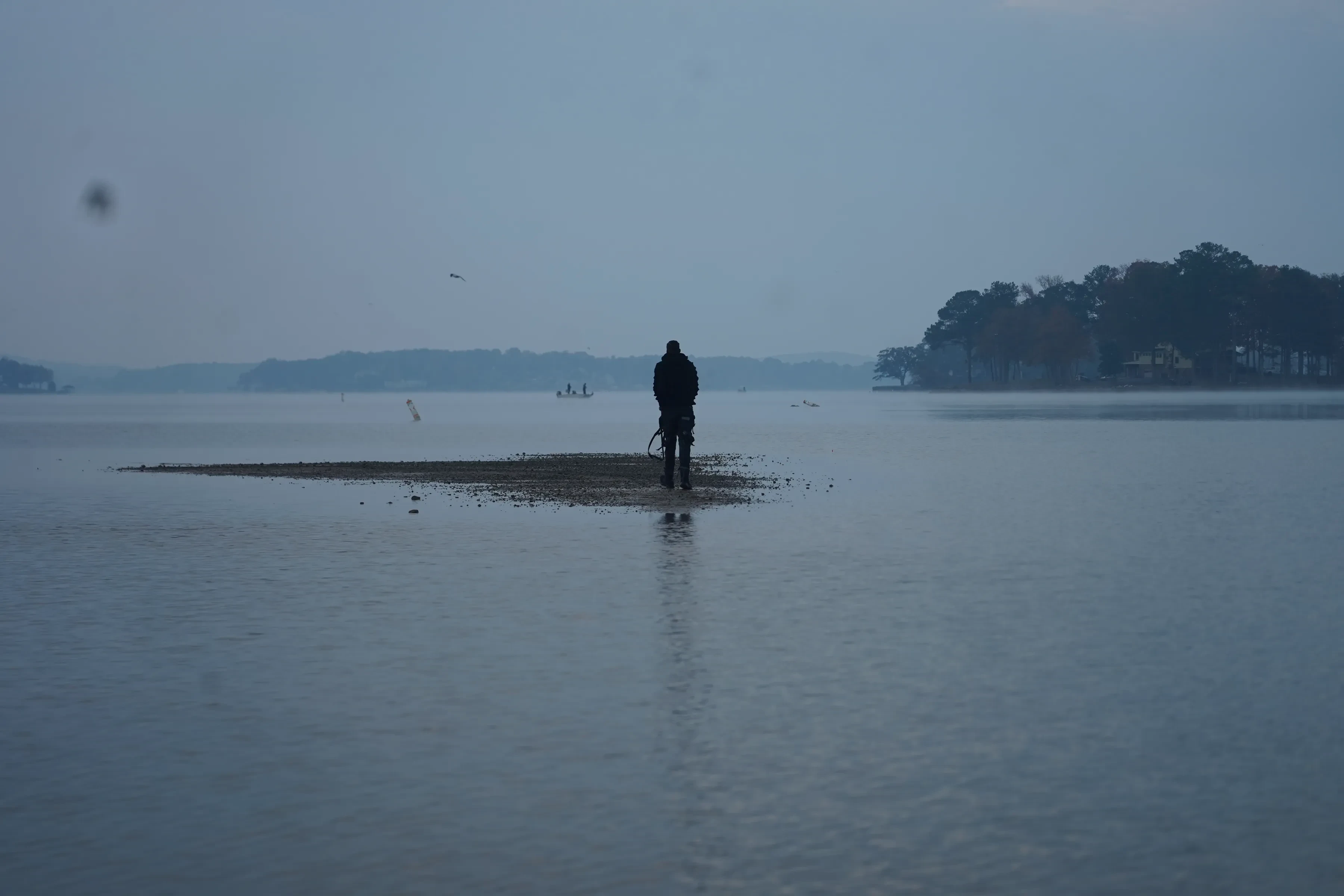 Alpha The Wolf facing away toward the far shore, the sandbar reduced to a thin dark line across a pale lake, ripples fanning toward the foreground