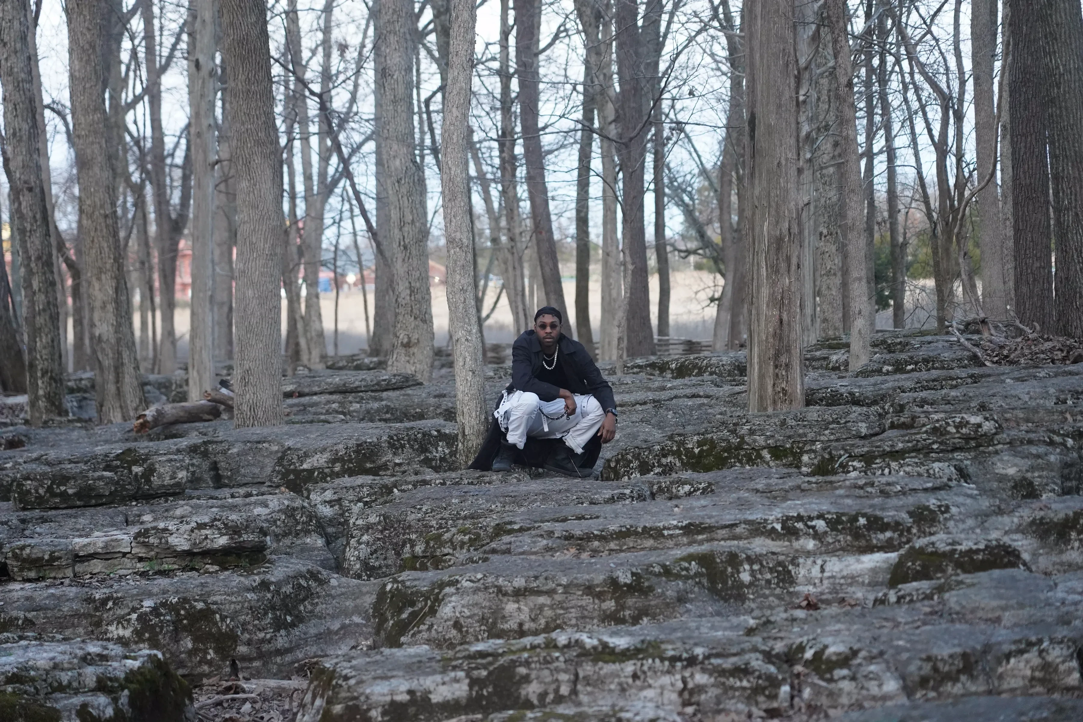 Alpha The Wolf crouched low on a slab of limestone with his forearms across his knees, looking straight down the lens, the black coat pooling around him and a fallen log on the rocks to his left.