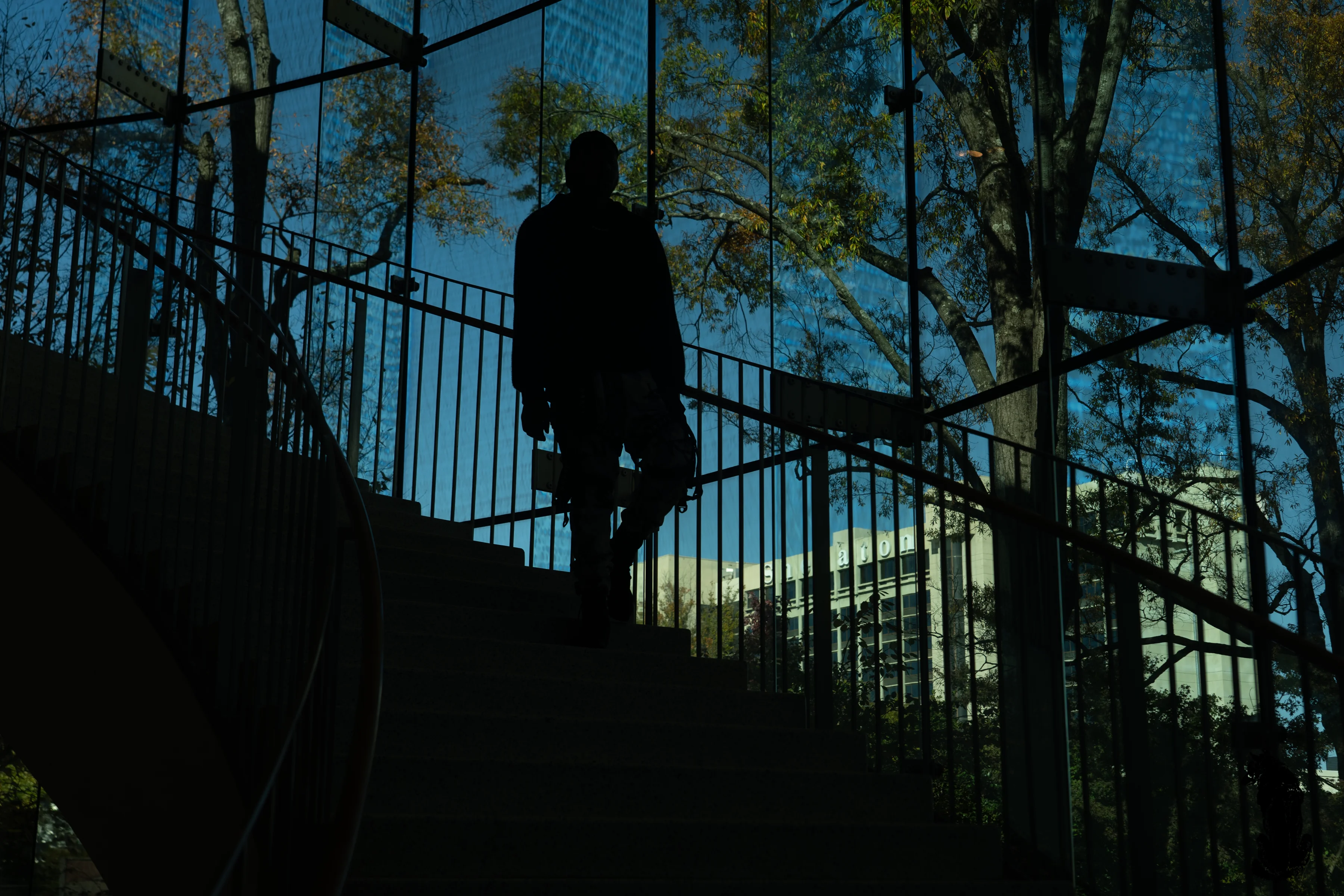 Alpha The Wolf ascending a shadowed staircase in silhouette, framed by iron railings with the reflected canopy of trees and a downtown building glowing through glass panels behind him