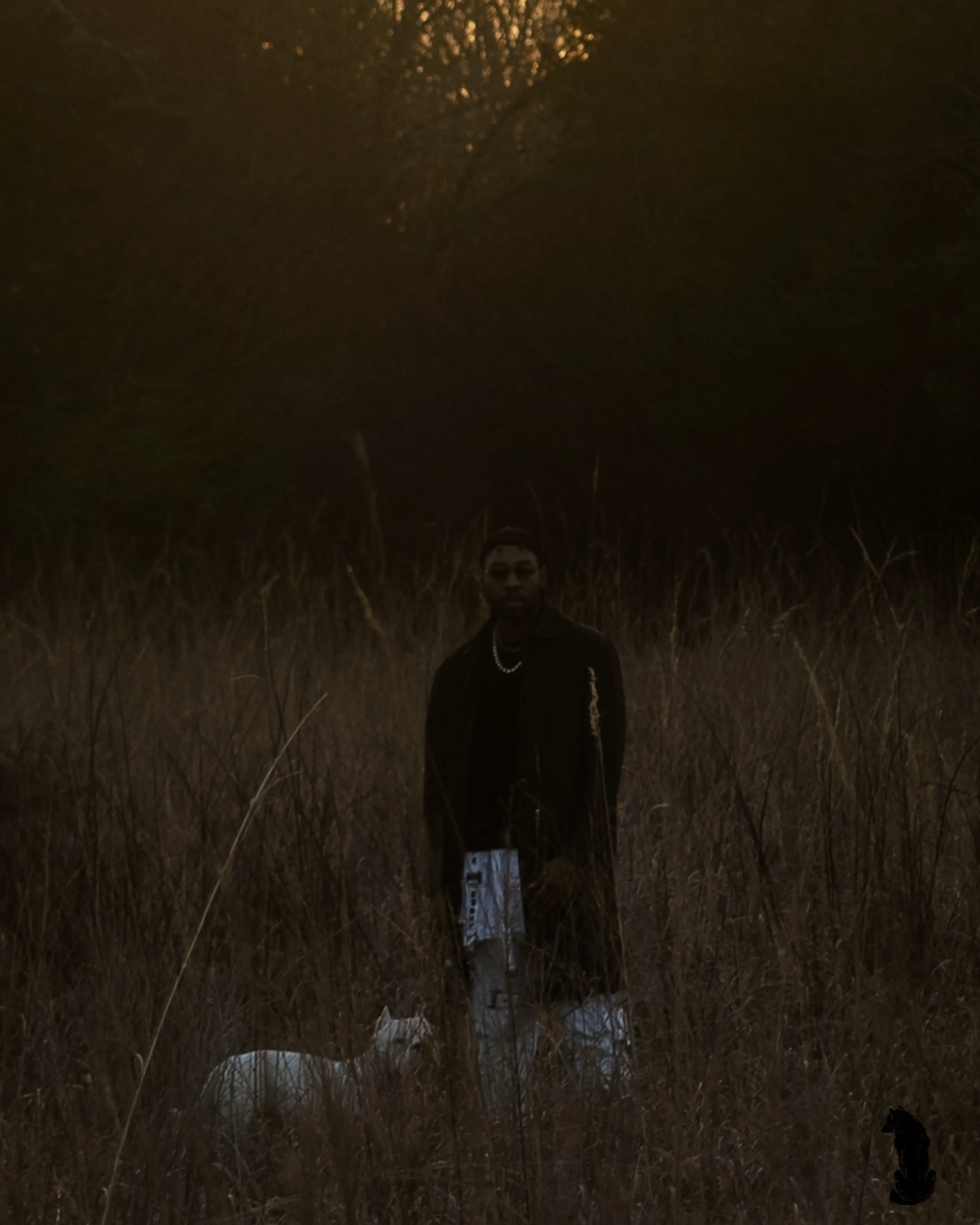 Alpha The Wolf standing chest-deep in tall dry grass wearing a black cap, a black jacket over a black tee with a silver chain, and light distressed pants, a white dog low in the grass beside him and glowing branches overhead.