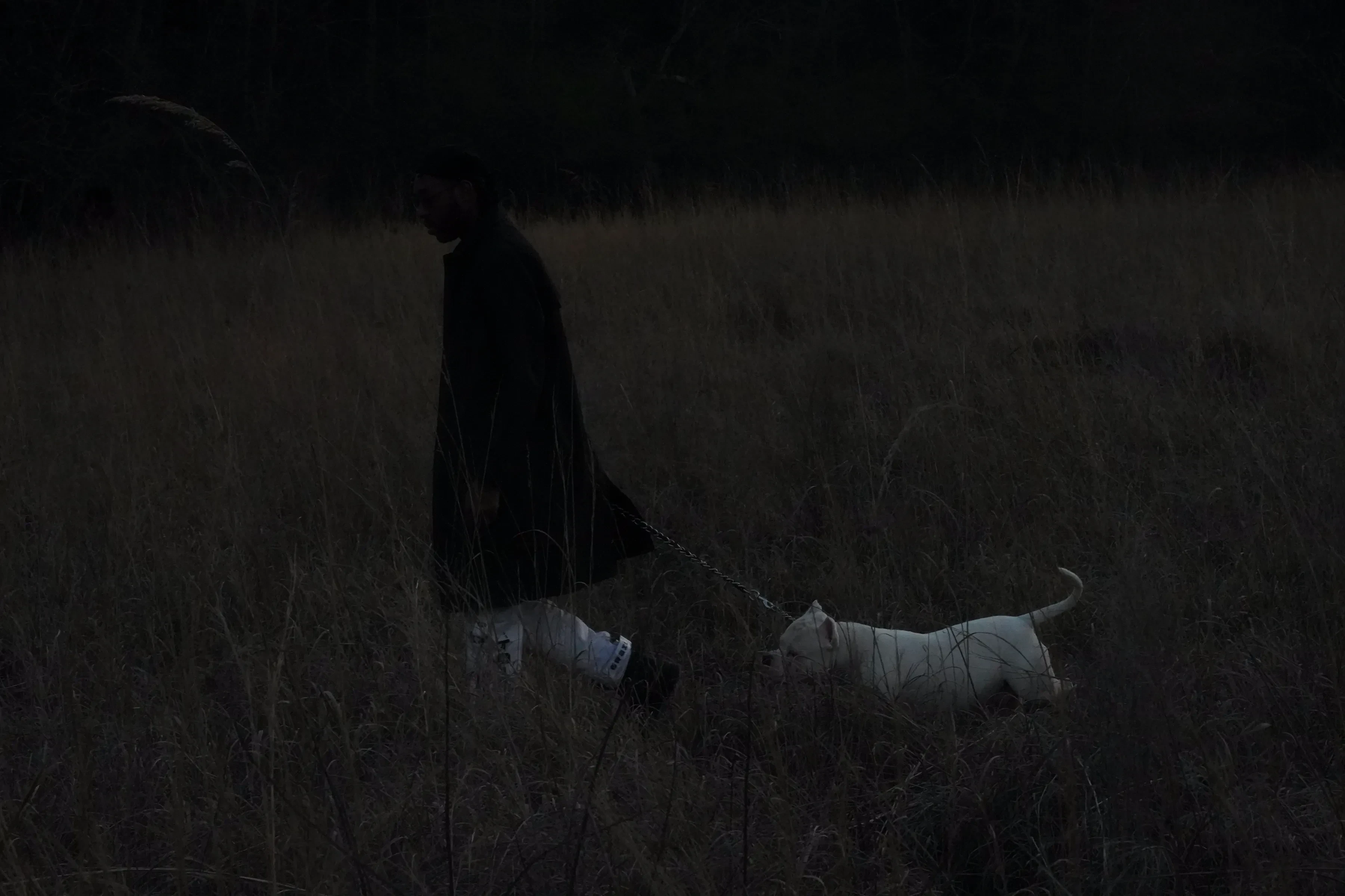 Alpha The Wolf walking across the field in a long dark coat while a white dog pulls ahead of him on a chain leash, both pushing through waist-high dry grass under a dark treeline.